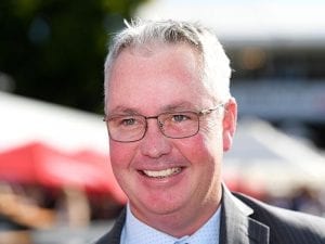 Endless Drama wins for new NZ trainer