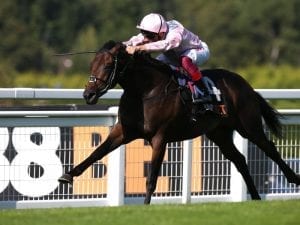 Too Darn Hot to miss 2000 Guineas
