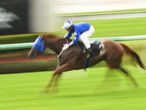 Misters to clash in Qld winter sprints