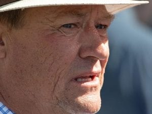 Vinco out to halt Godolphin 2YO onslaught