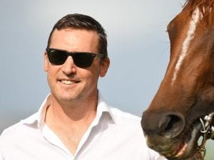 Plan B for Tony Gollan-trained pair