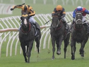Trapeze Artist to add to Group One record