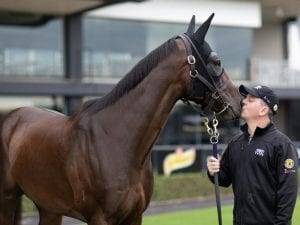 Waller stable looks to life after Winx
