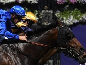 Ranier gets chance to step up in Guineas