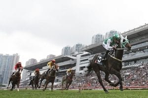 Pakistan Star “a normal horse” into G2 Chairman’s Trophy