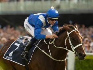 Champion mare Winx bows out a winner again
