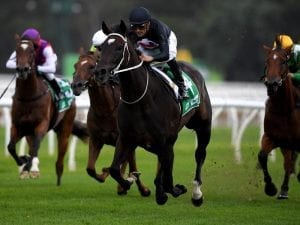 Stakes test for Fasika at Randwick