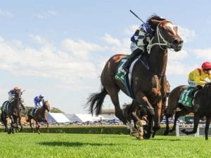 Outsider Aliferous claims G3 Adrian Knox