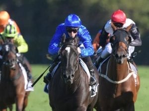 Kiwi mare facing distance test in Cup