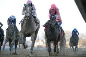 Tacitus too tough despite rough trip in Wood