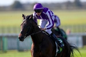 O’Brien happy heading straight to Guineas with Ten Sovereigns