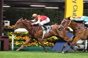 100th Hong Kong win eludes Purton at Happy Valley