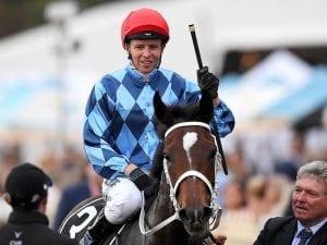 Waller set for more Qld carnival records