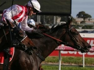 Our Libretto on path towards Brisbane Cup