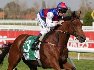 Steel Prince out to continue winning run