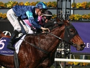 Well-backed Moonlover scores at Flemington