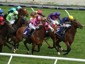 Stablemates to tackle Flemington straight