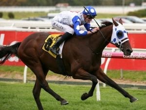 Mr Quickie remains favourite for SA Derby