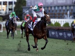 Enable to miss Royal Ascot