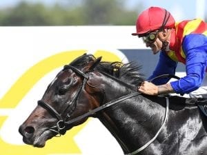 Pierata to stay in training for Everest