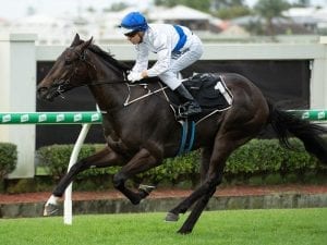 Star 3yos to steal limelight at Doomben
