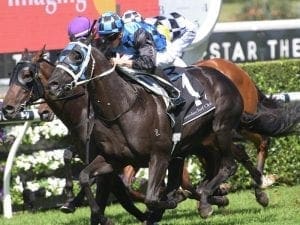 Waller stable depth on show in Group One