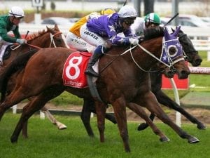 Last-to-first Caulfield win for Voila