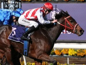 St Edward's Crown too strong at Flemington