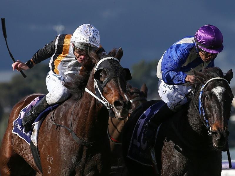 Jockey Damien Oliver (left) rides Chouxting The Mob to victory