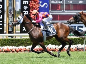 Forster to attack Eye Liner Stakes