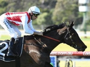 Our Libretto to run in Tattersall's Cup