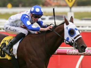Mr Quickie on song for Queensland Derby