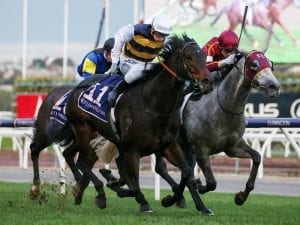 Winter Series Final looms for Romancer
