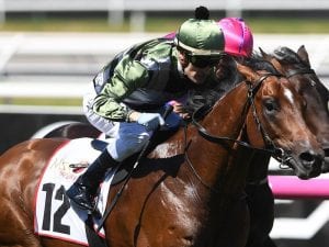 Not A Single Cent chasing Qld Derby upset
