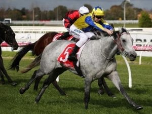 Form right for Platinum Angel