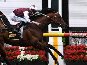 Bletchingly Stakes return for Cliff's Edge