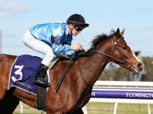 Spring plans revealed for Lord Belvedere