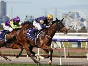 2021 Blamey Stakes betting preview, tips & odds | Flemington R6