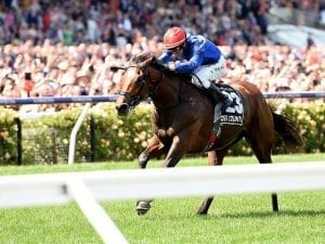 Which online bookmaker has the best Melbourne Cup odds?