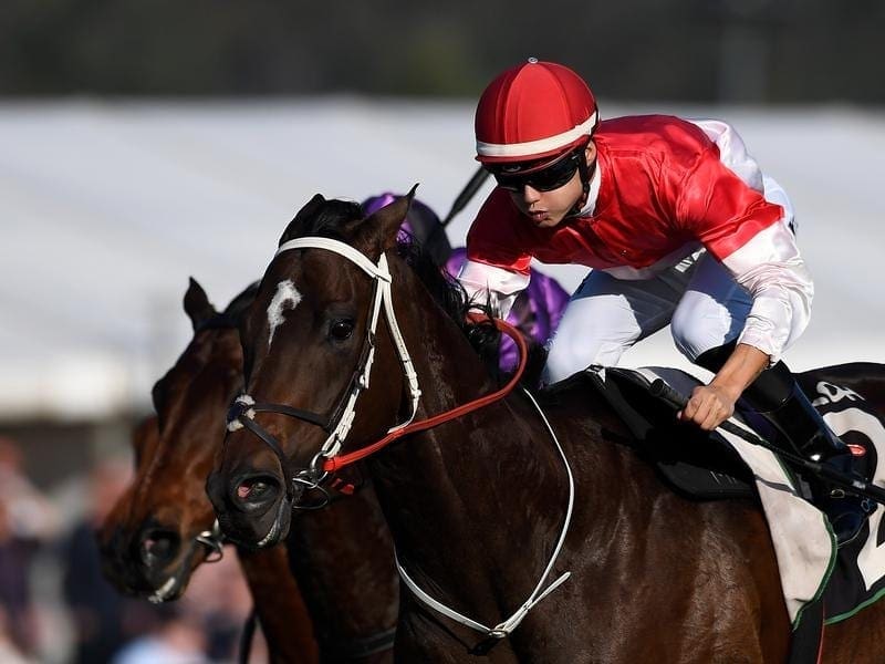 Tregea wants rain to stay away in Mackay Horse Betting