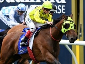 Top southern stayers for Queensland Cup