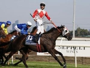 Mystic Journey to trial again at Devonport Mystic Journey to trial again at Devonport