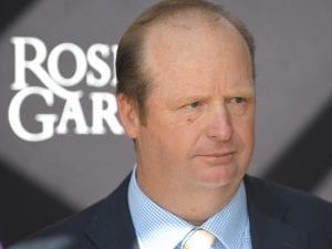 Moccasin Miss to shed nickname at Rosehill