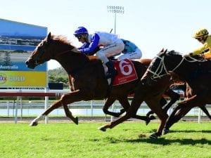 Tabcorp rejects Racing Qld $11m fee claim