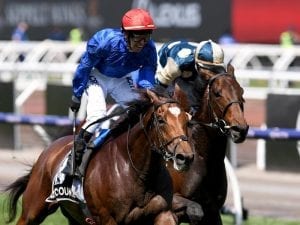 Marmelo unplaced in French Group One