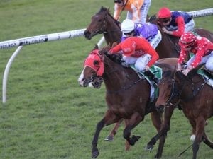 Smart edges out Notation for Randwick win