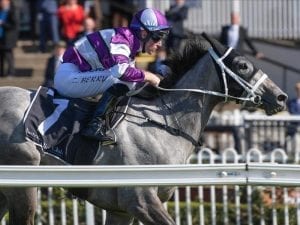 Waller patience pays off for 2YO Lucicello
