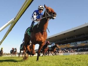 Ex-Perth mare scores first Sydney victory