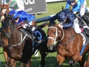 Eckstein adds Winter Stakes win to record