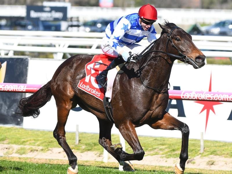 Super Titus wins the Heatherlie Stakes.